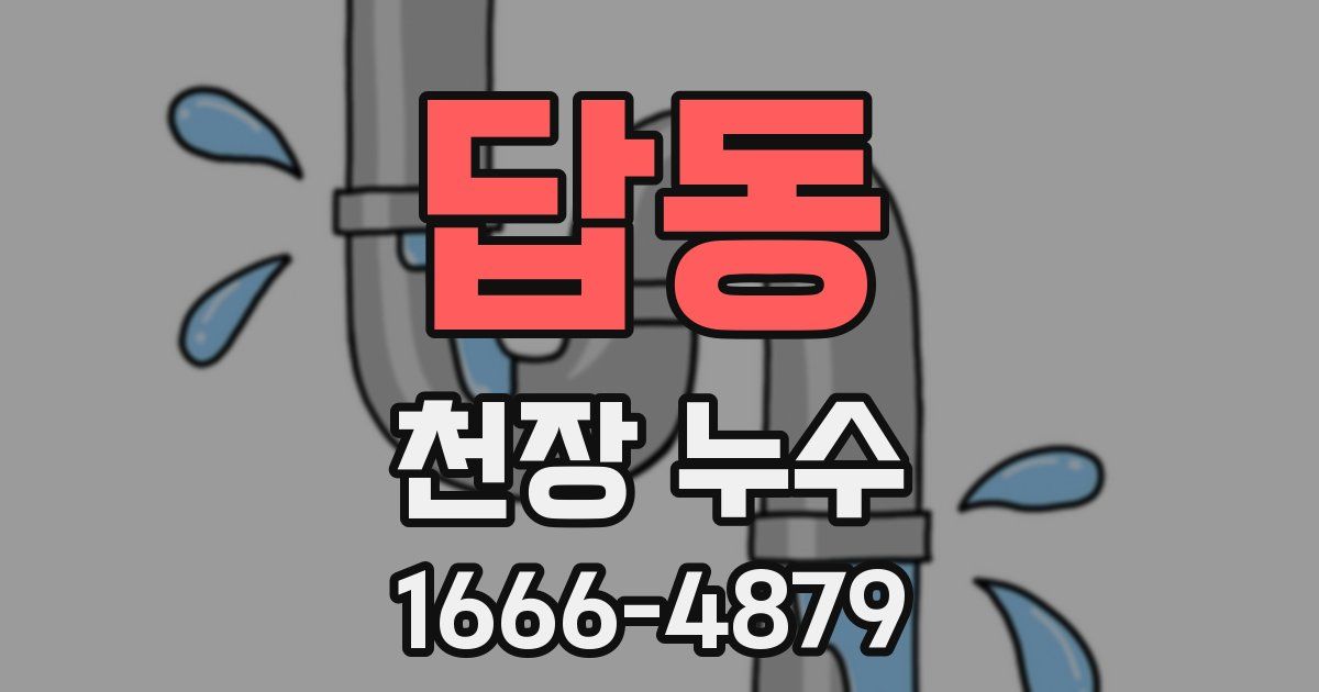 답동 천장 누수