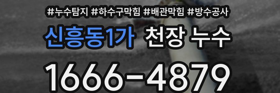 신흥동1가 천장 누수