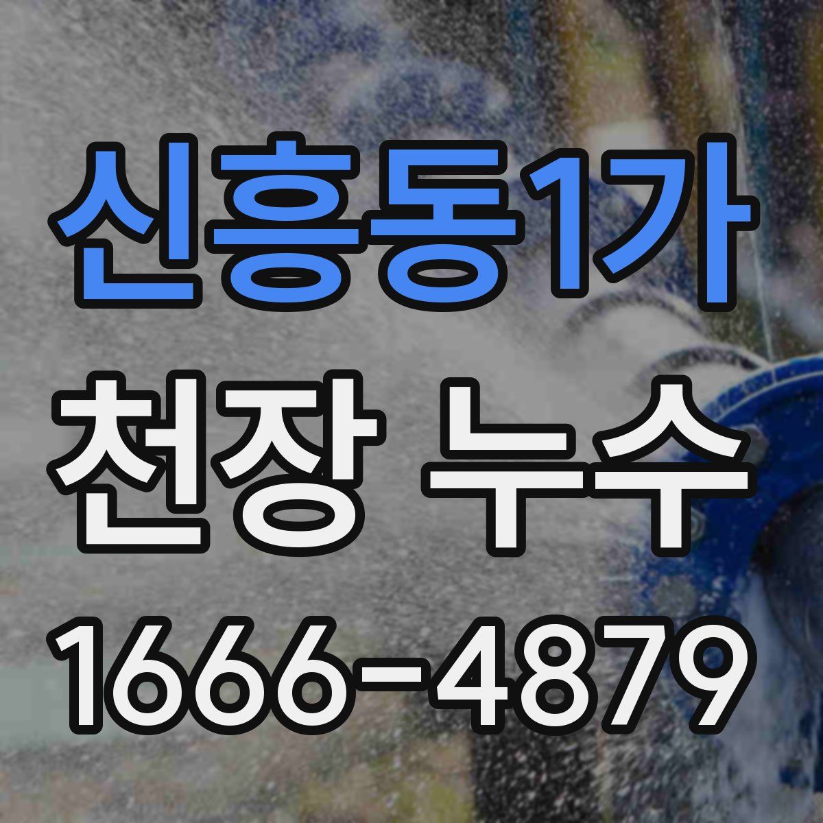신흥동1가 천장 누수