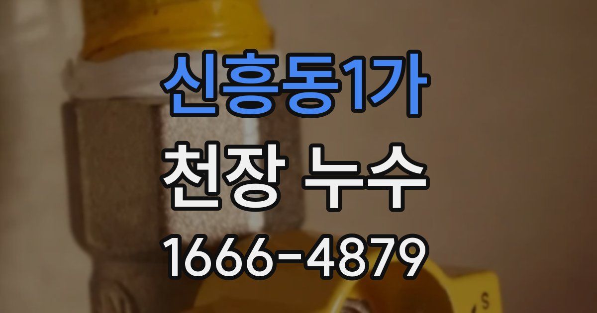 신흥동1가 천장 누수