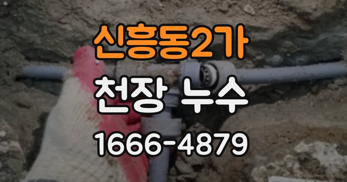 신흥동2가 천장 누수