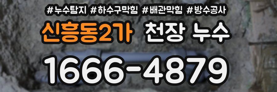 신흥동2가 천장 누수