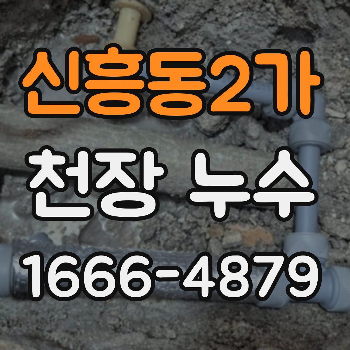 신흥동2가 천장 누수
