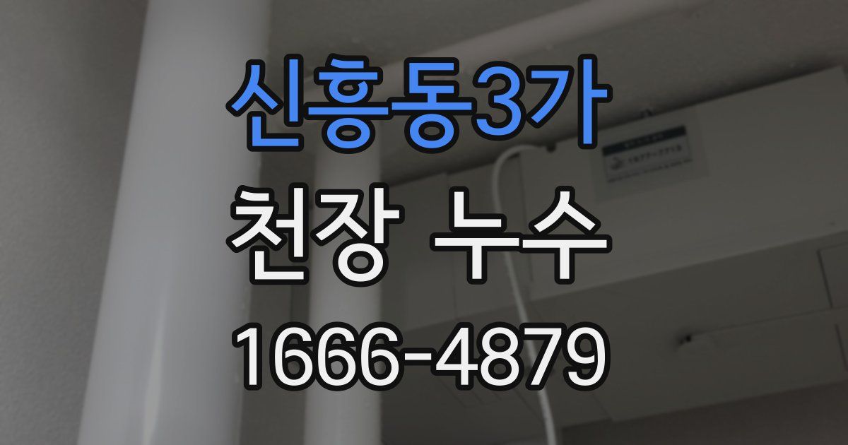 신흥동3가 천장 누수