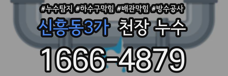 신흥동3가 천장 누수