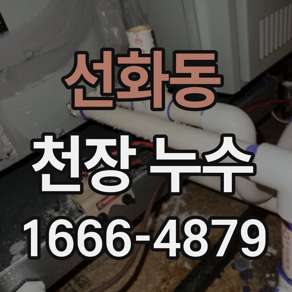 선화동 천장 누수