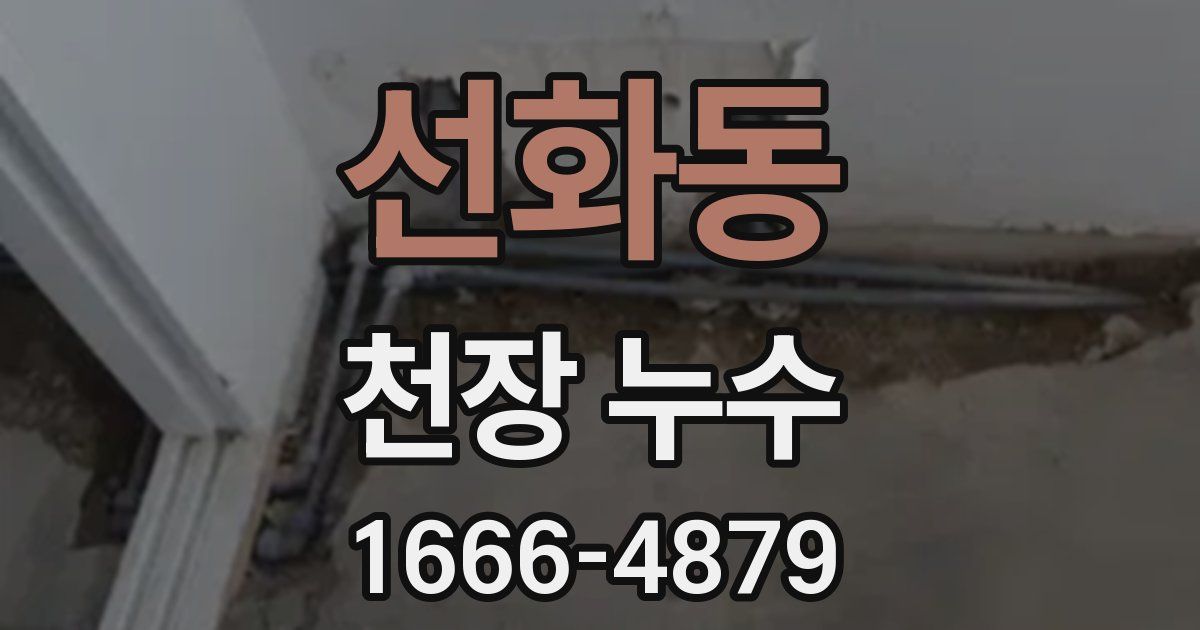 선화동 천장 누수