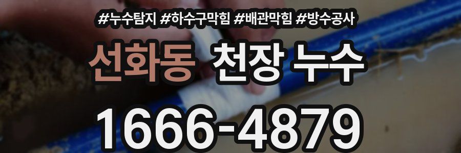 선화동 천장 누수