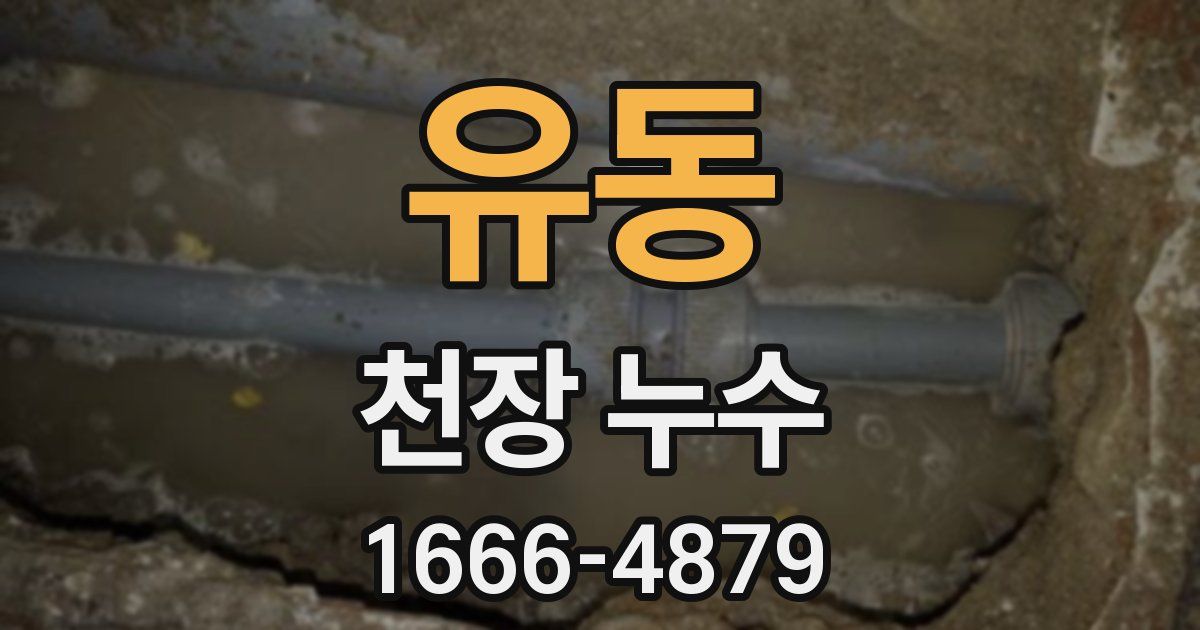 유동 천장 누수