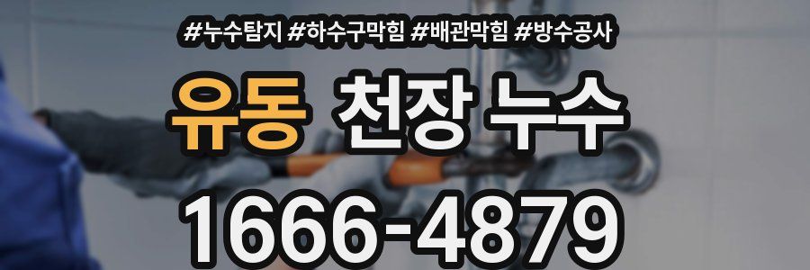 유동 천장 누수