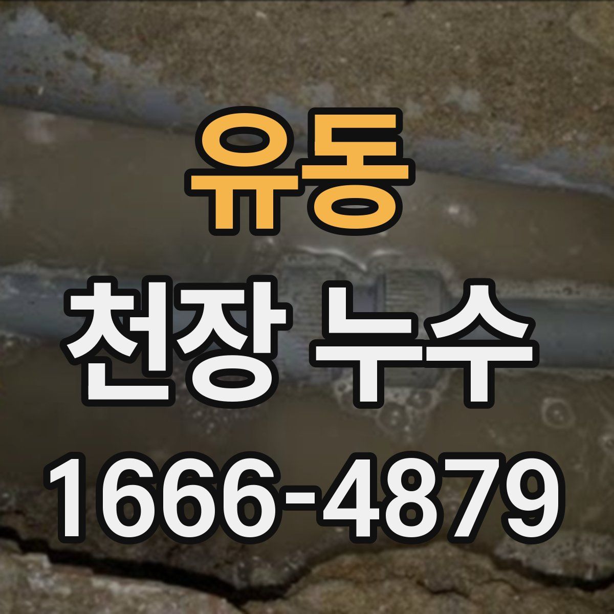 유동 천장 누수