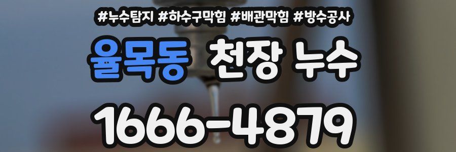 율목동 천장 누수