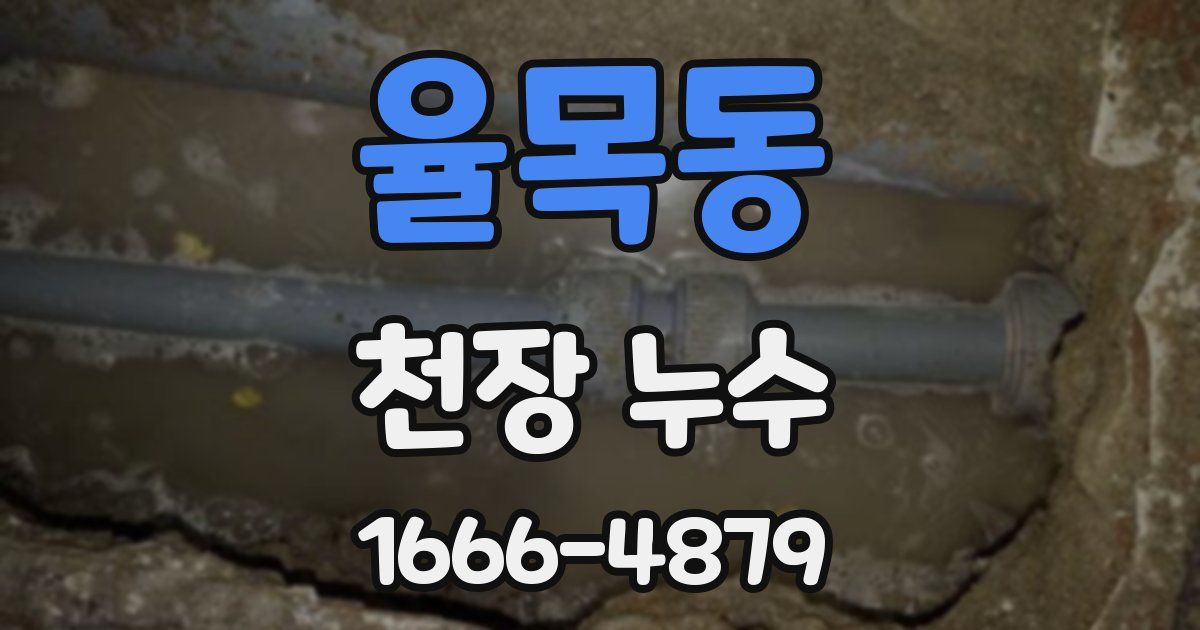 율목동 천장 누수