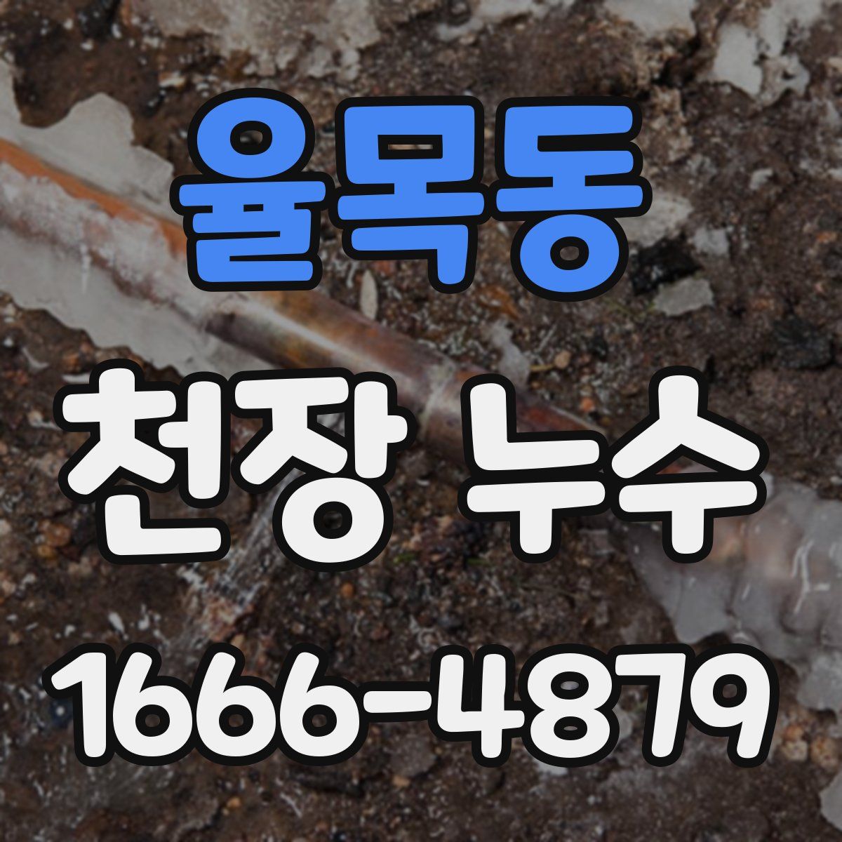 율목동 천장 누수