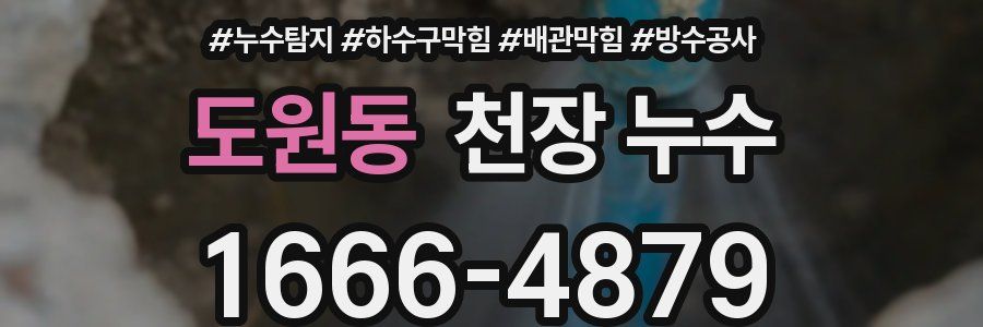 도원동 천장 누수
