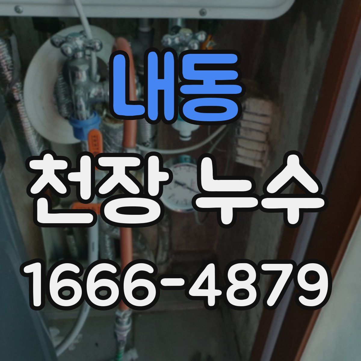 내동 천장 누수