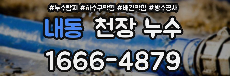 내동 천장 누수