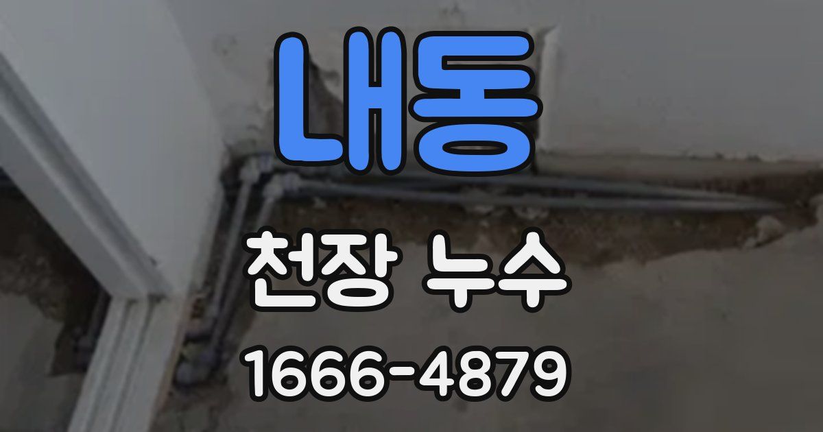 내동 천장 누수