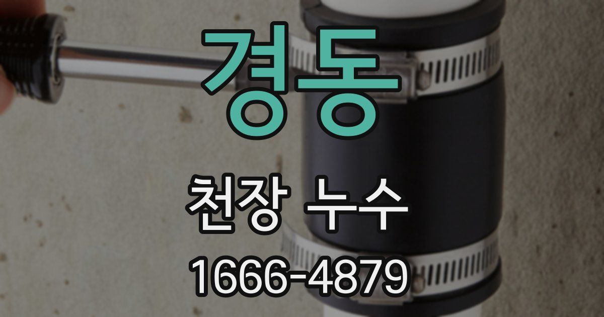 경동 천장 누수