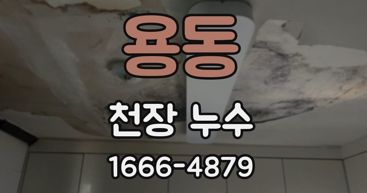 용동 천장 누수