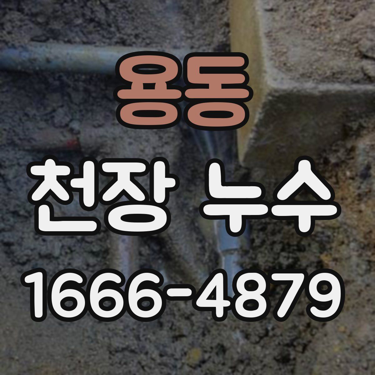 용동 천장 누수
