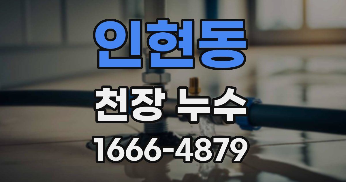 인현동 천장 누수