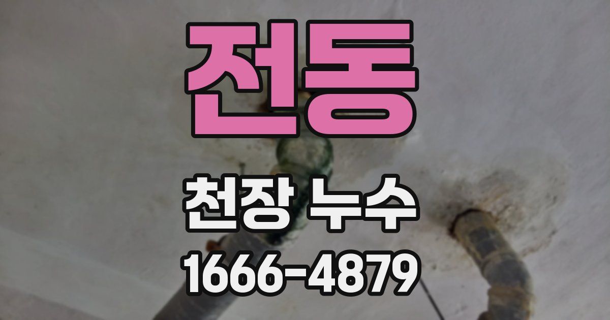 전동 천장 누수