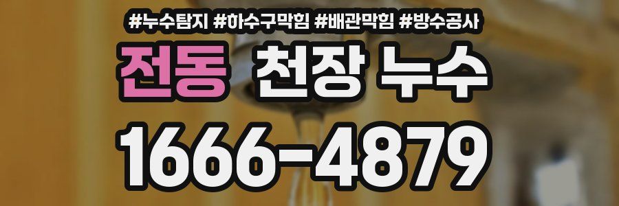 전동 천장 누수