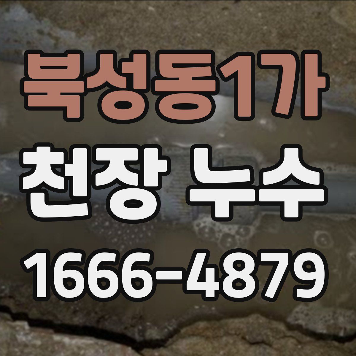 북성동1가 천장 누수