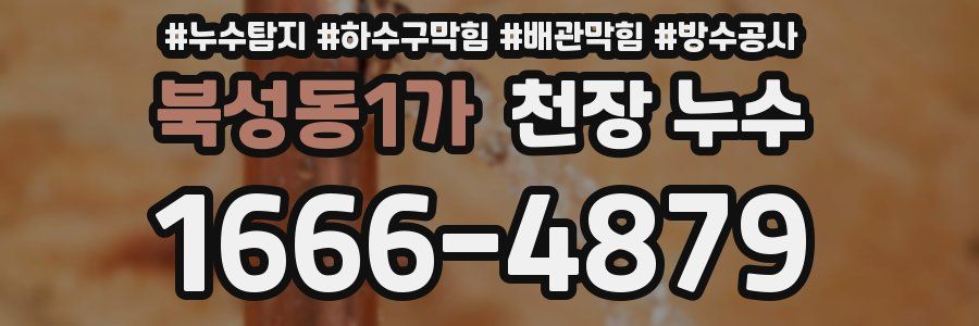 북성동1가 천장 누수