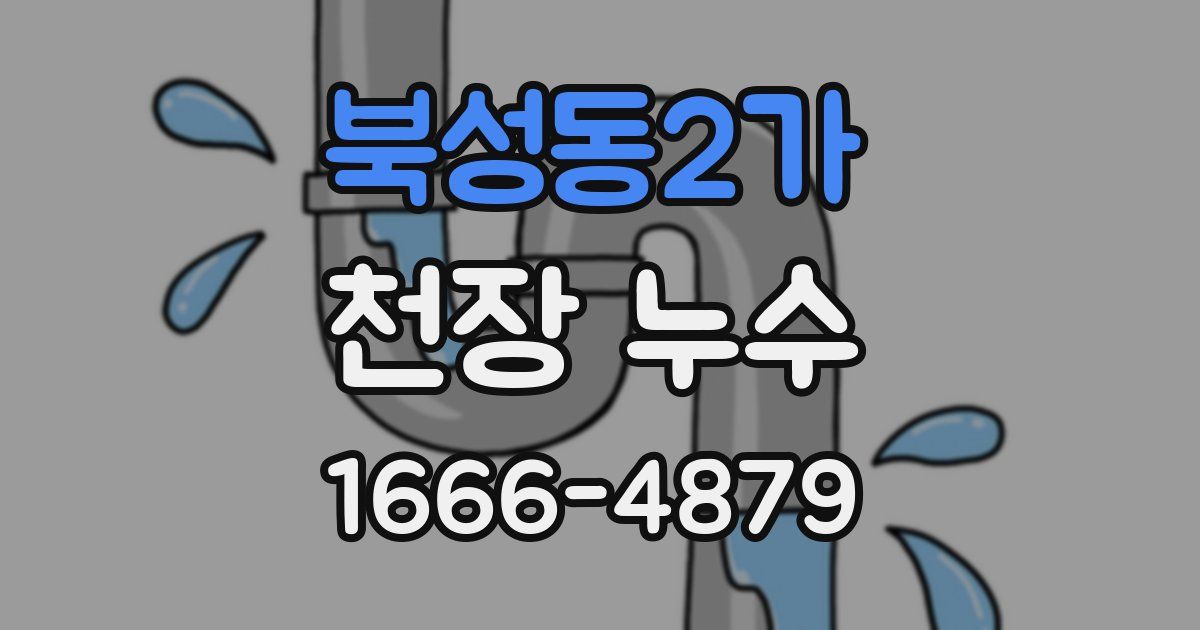 북성동2가 천장 누수