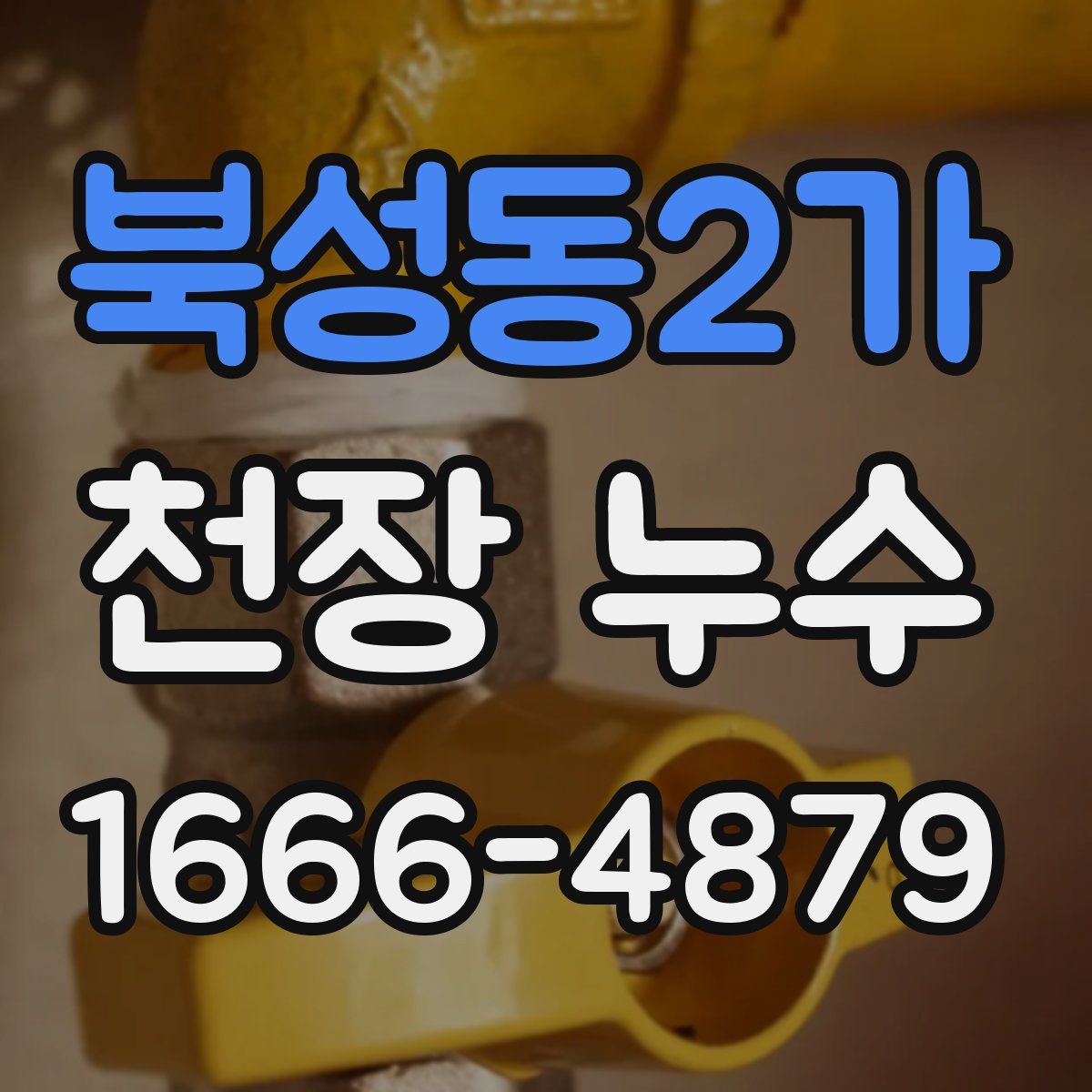 북성동2가 천장 누수