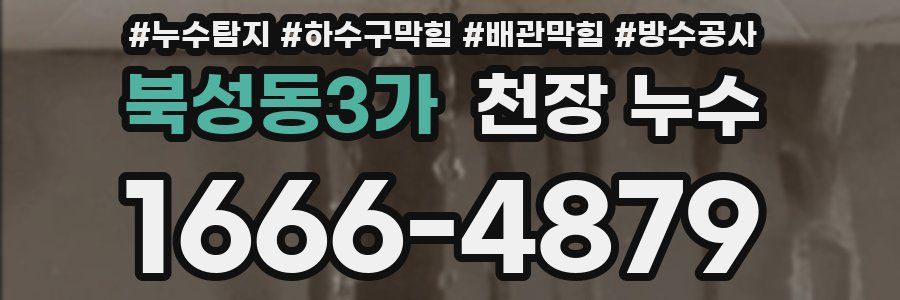 북성동3가 천장 누수