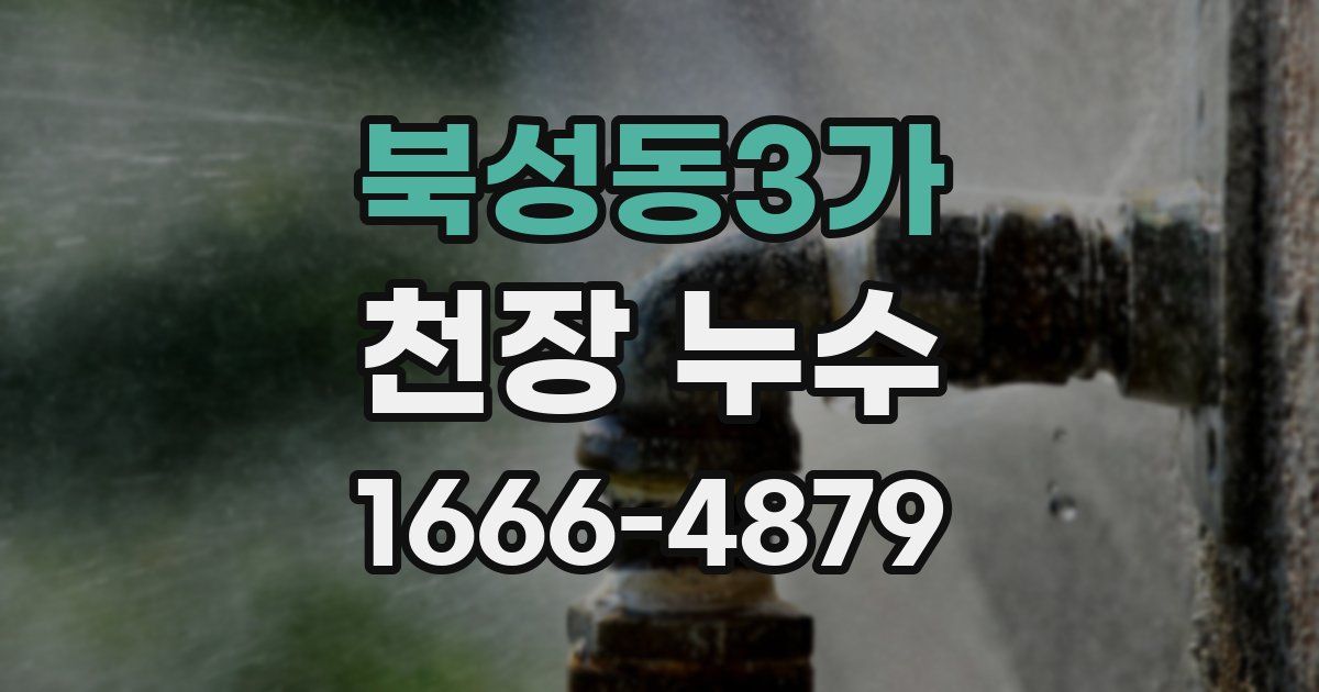 북성동3가 천장 누수