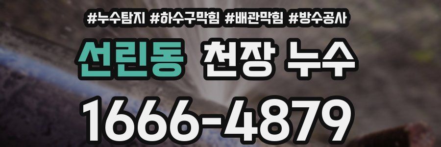 선린동 천장 누수