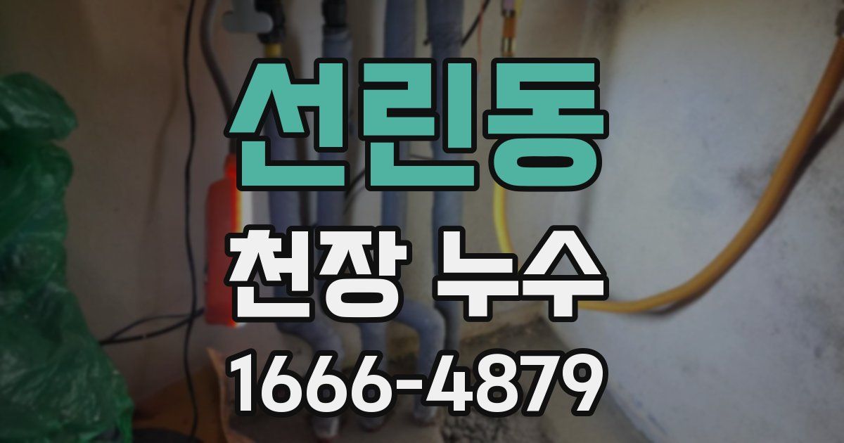 선린동 천장 누수