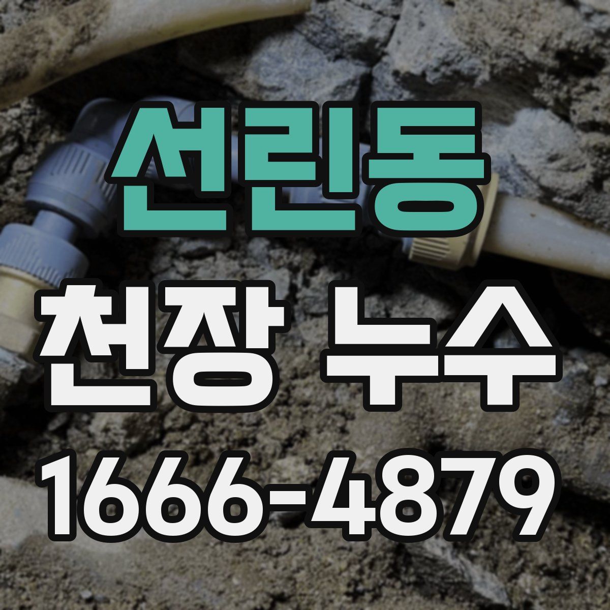 선린동 천장 누수