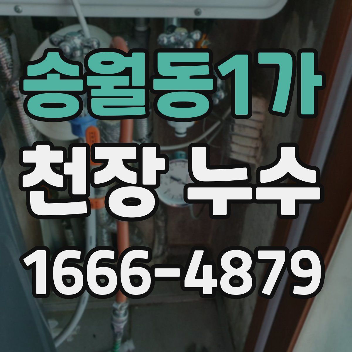 송월동1가 천장 누수
