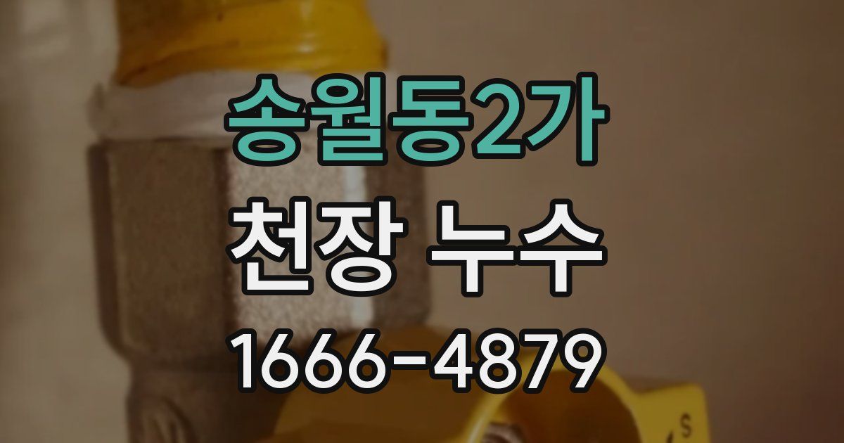 송월동2가 천장 누수