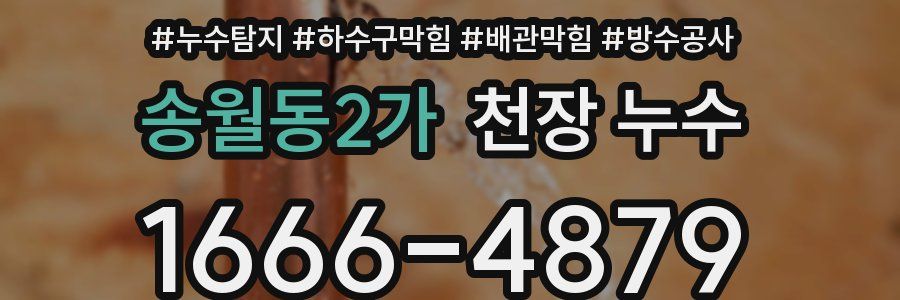 송월동2가 천장 누수