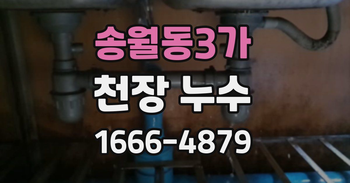 송월동3가 천장 누수