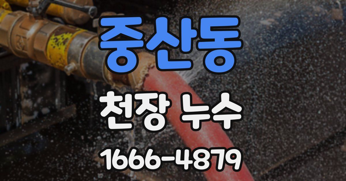 중산동 천장 누수