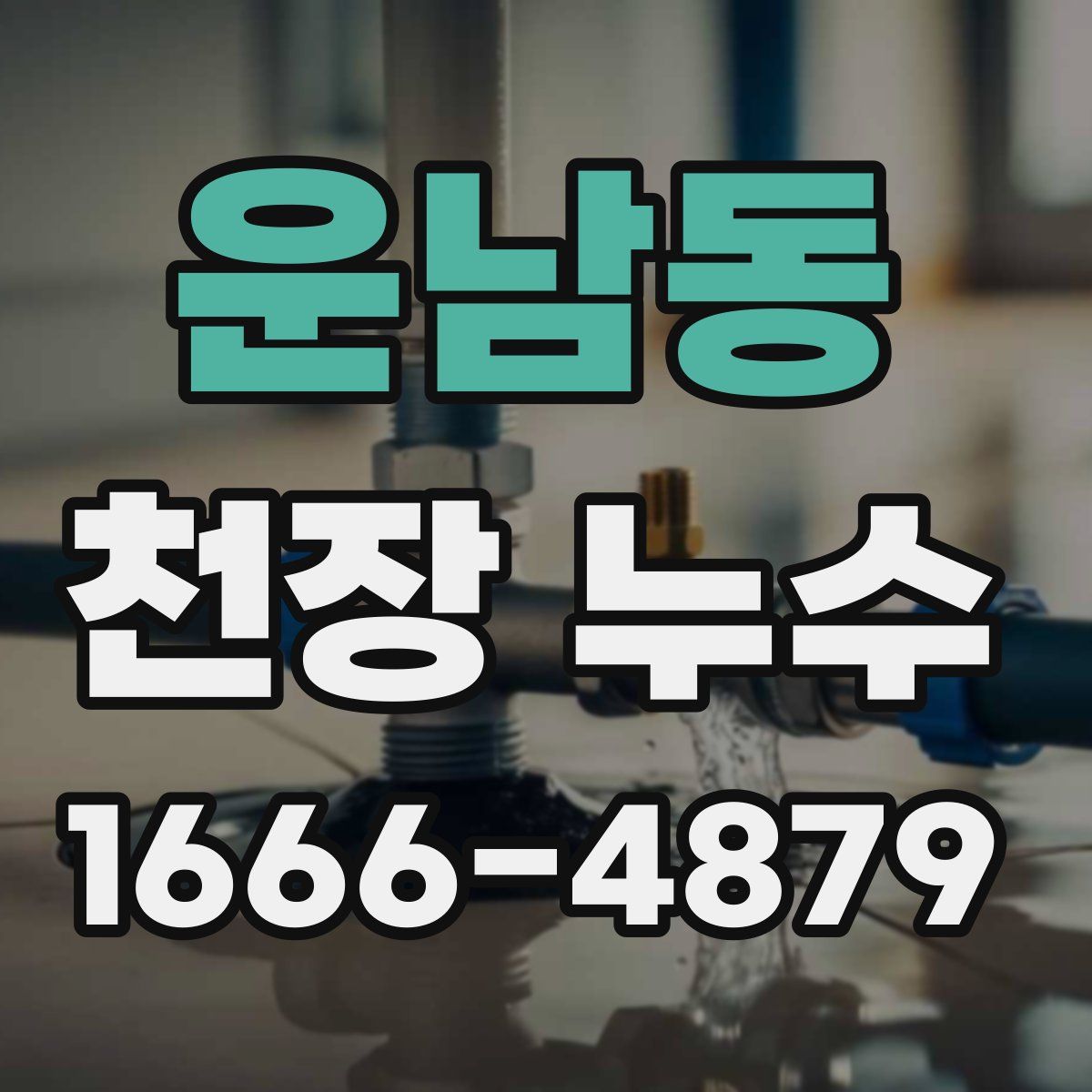 운남동 천장 누수