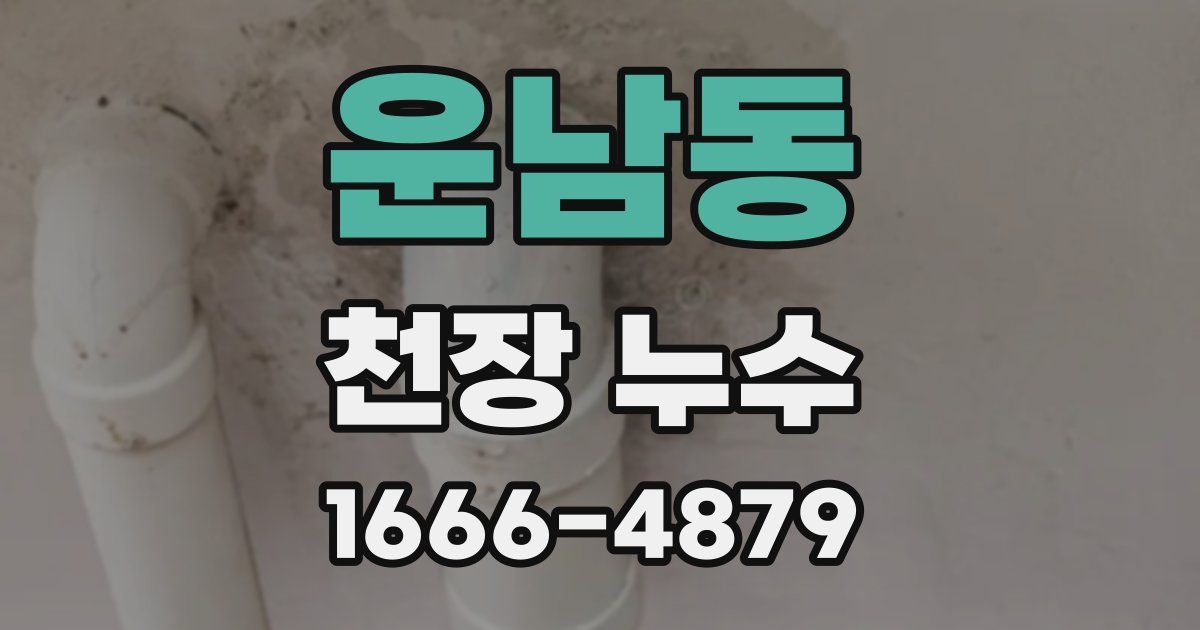 운남동 천장 누수
