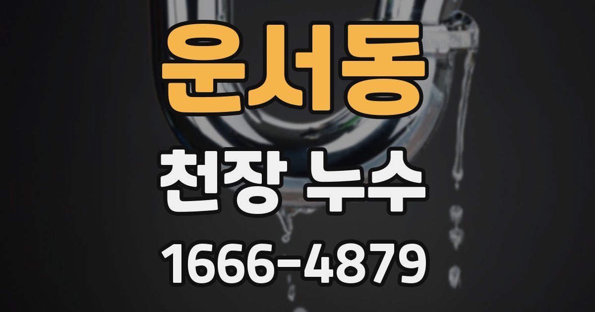 운서동 천장 누수