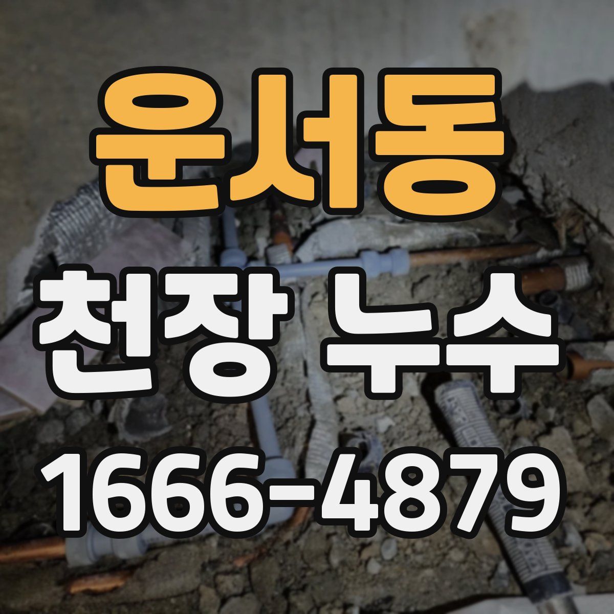 운서동 천장 누수