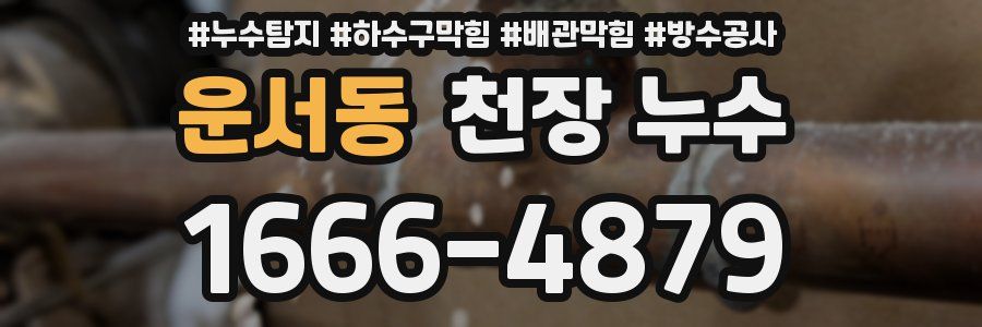 운서동 천장 누수