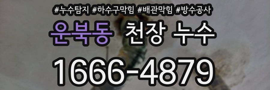 운북동 천장 누수