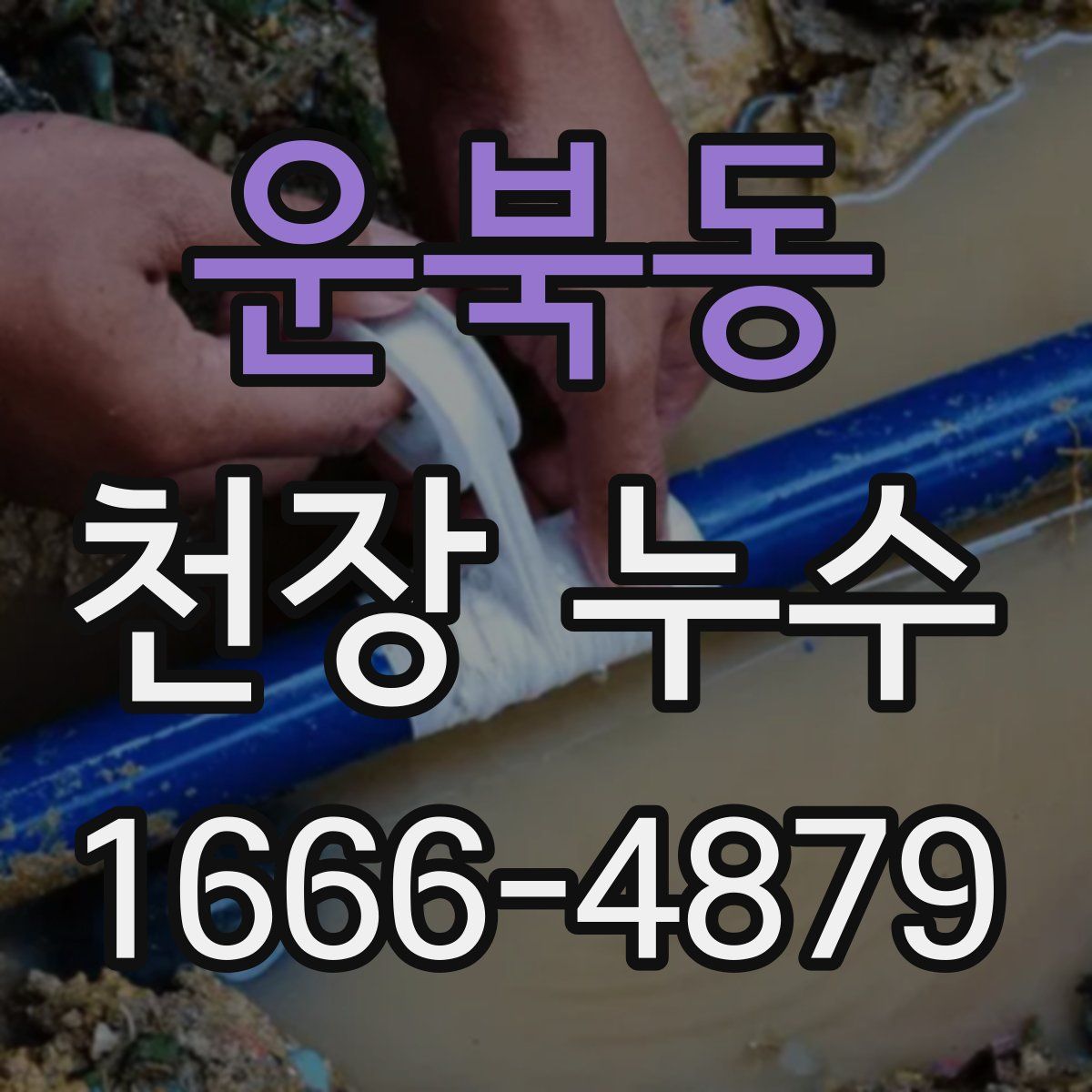 운북동 천장 누수