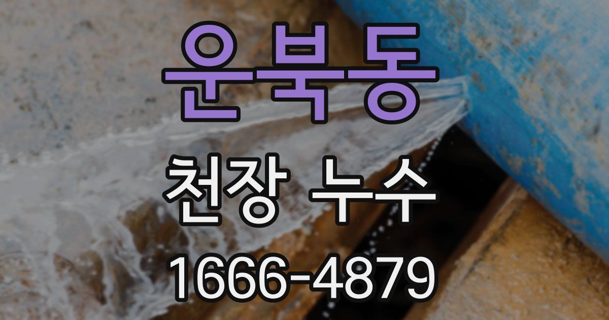 운북동 천장 누수
